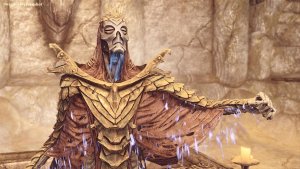 ВОКУН. SKYRIM AE (Сборка 16)