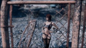 Ржавый забор.. Fallout-4 (Сборка 11)