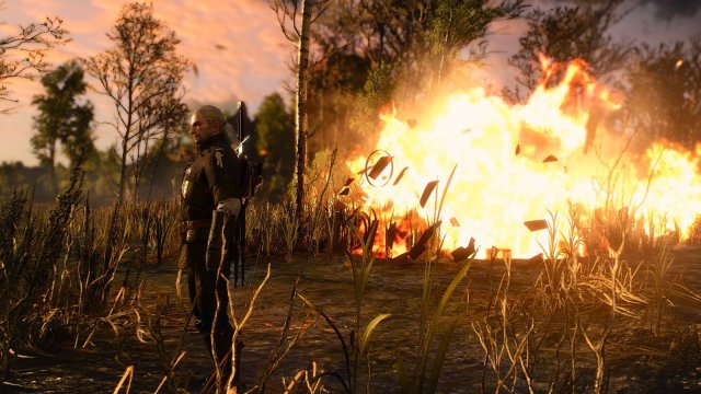 The Witcher 3 Screenshot 2025.04.27 - 20.08.18.47.jpg