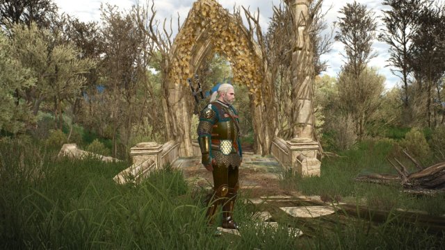 The Witcher 3 Screenshot 2025.06.01 - 21.52.23.88.jpg