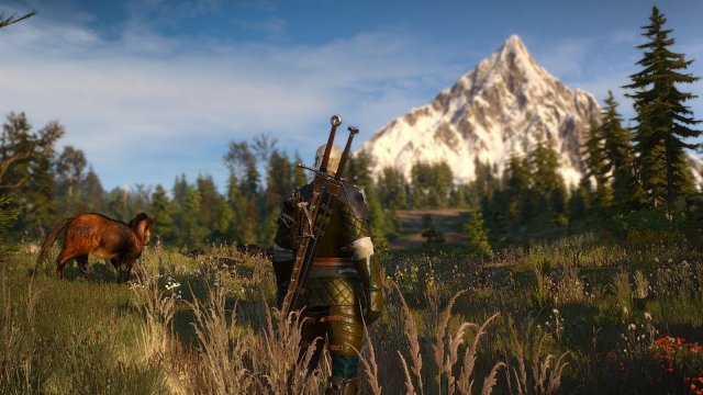 The Witcher 3 Screenshot 2025.05.02 - 20.14.45.84.jpg