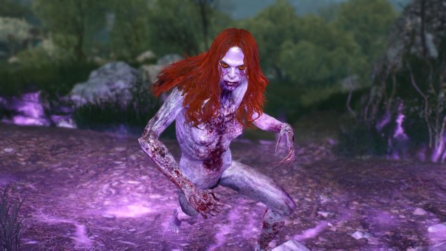 The Witcher 3 Screenshot 2025.06.03 - 22.08.00.77.jpg