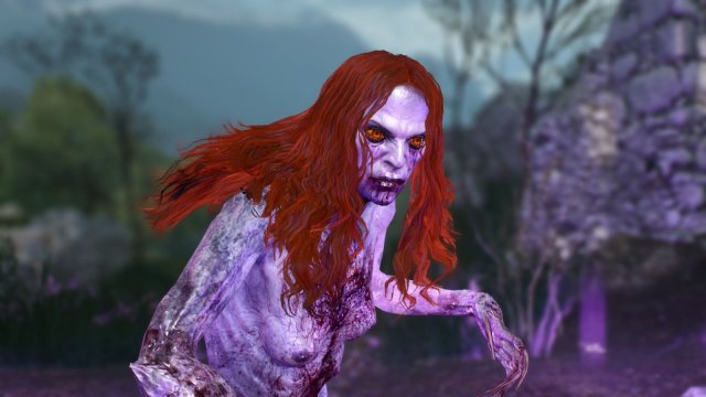 The Witcher 3 Screenshot 2025.06.03 - 22.08.20.89.jpg