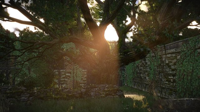 The Witcher 3 Screenshot 2025.05.27 - 22.04.04.99.jpg