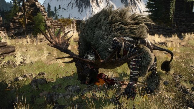 The Witcher 3 Screenshot 2025.05.19 - БЕС.jpg