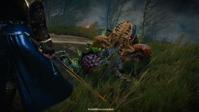 The Witcher 3 Screenshot 2025.04.13 - 23.33.48.11.jpg