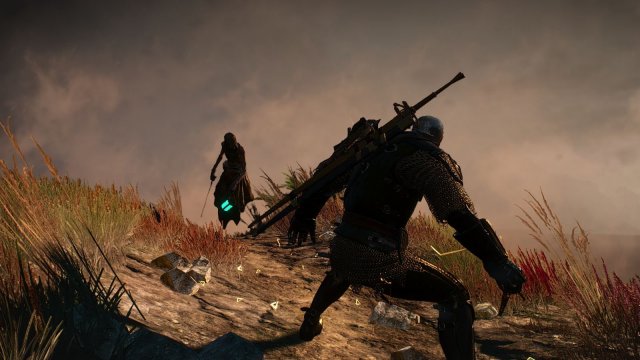 The Witcher 3 Screenshot 2025.05.25 - 21.18.00.30.jpg