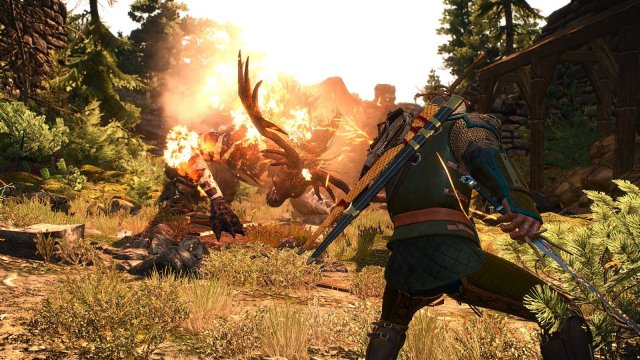 The Witcher 3 Screenshot 2025.05.19 - 23.15.28.02.jpg