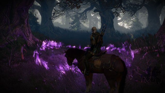 The Witcher 3 Screenshot 2025.06.04 - 22.25.22.67.jpg