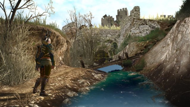 The Witcher 3 Screenshot 2025.05.26 - 22.13.49.60.jpg