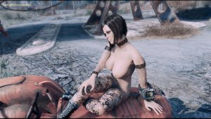 НОРА и трактор. Fallout-4 (Сборка 10.5)