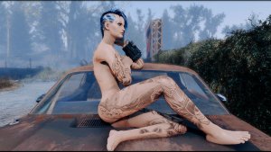 ВИ на додже. Fallout-4 (Сборка 11)