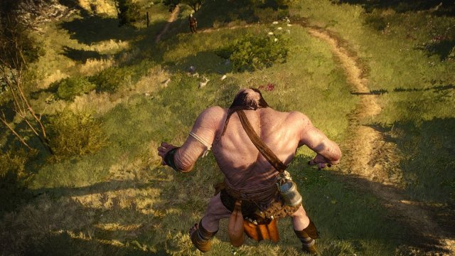 The Witcher 3 Screenshot 2025.05.02 - 21.50.27.64.jpg