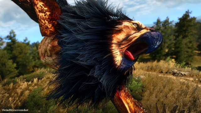 The Witcher 3 Screenshot 2025.04.29 - 20.29.36.92.jpg