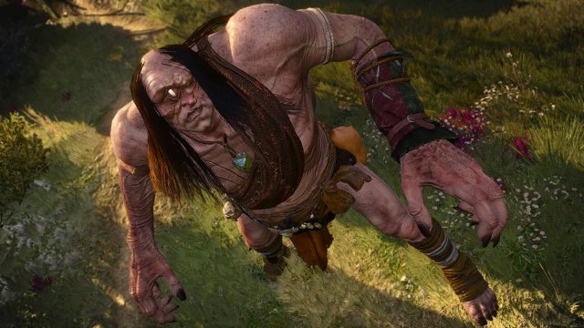 The Witcher 3 Screenshot 2025.05.02 - 21.50.11.71.jpg