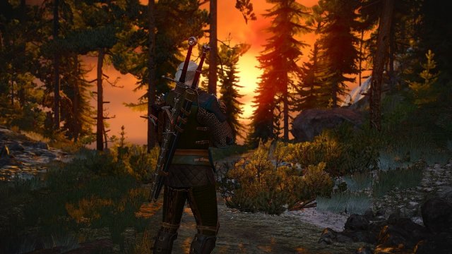 The Witcher 3 Screenshot 2025.05.06 - 22.11.13.72.jpg