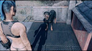 Пес ждет.. Fallout-4 (Сборка 11)