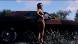 Ви возле кара. Fallout-4 (Сборка 11)