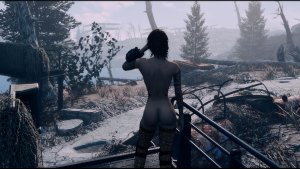 Нел нэйкед. Fallout-4 (Сборка 11)