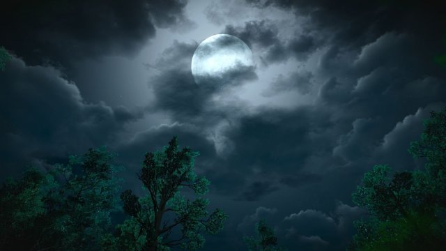 The Witcher 3 Screenshot 2025.05.21 - 22.36.04.62.jpg