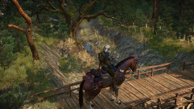 The Witcher 3 Screenshot 2025.05.18 - 18.42.48.51.jpg