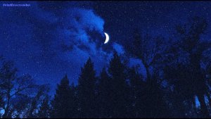 Молодая луна.. Fallout-4 (Сборка 11)