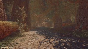 Дорога.. SKYRIM AE (Сборка 16)