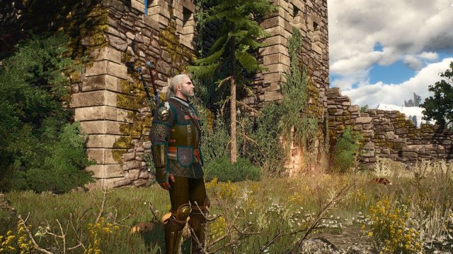 The Witcher 3 Screenshot 2025.05.19 - 23.13.13.29.jpg
