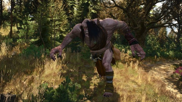 The Witcher 3 Screenshot 2025.05.03 - 22.08.02.64.jpg