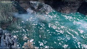 Зеленая вода пруда.. Fallout-4 (Сборка 11)