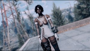 На крыше пансионата. Fallout-4 (Сборка 11)