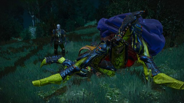 The Witcher 3 Screenshot 2025.05.21 - 22.33.40.04.jpg