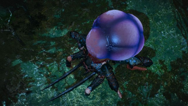 The Witcher 3 Screenshot 2025.05.21 - 22.30.50.76.jpg