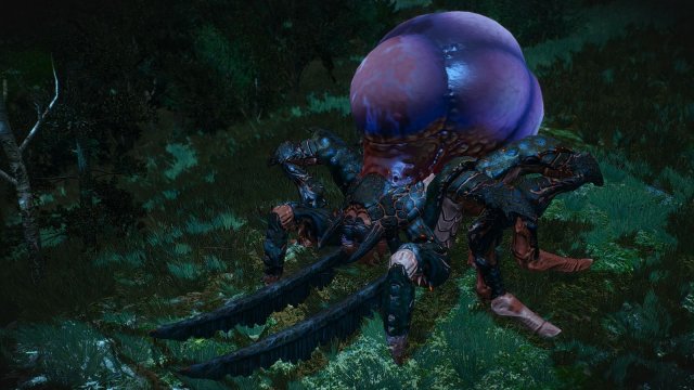 The Witcher 3 Screenshot 2025.05.21 - ГЛАВОГЛАЗ.jpg