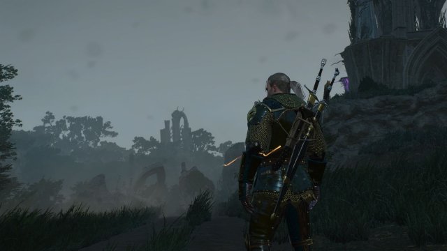 The Witcher 3 Screenshot 2025.06.17 - 23.26.48.29.jpg