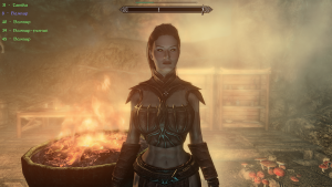 Skyrim Special Edition 23.10.2025 03_49_33.png