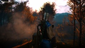 ПЕЙЗАЖНОЕ с Геральтом. Ведьмак III (сборка Торна)