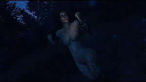 Темной ночью.. Fallout-4 (Сборка 11)