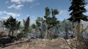 Поставила - Хвойники Содружества!