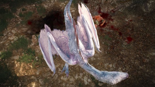 The Witcher 3 Screenshot 2025.06.02 - 23.05.13.67.jpg