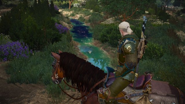 The Witcher 3 Screenshot 2025.11.11 - 22.03.39.67.jpg