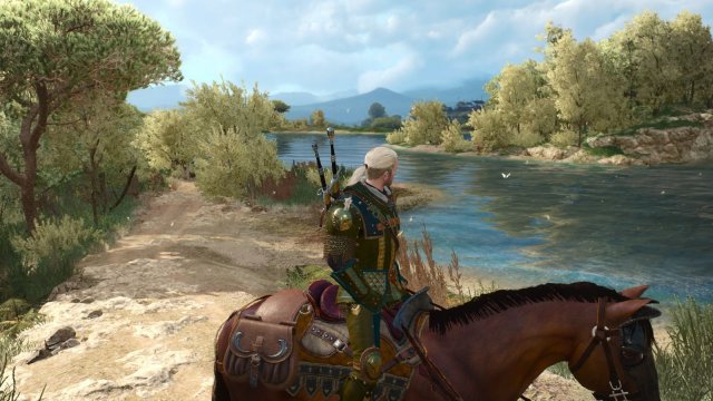 The Witcher 3 Screenshot 2025.06.03 - 21.57.17.88.jpg