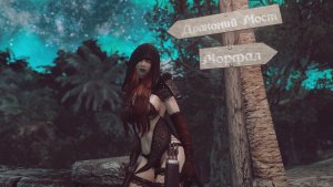 На ночной дороге.. SKYRIM AE (Сборка 16)