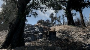 Вот и дача в лесу )