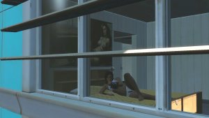 Если заглянуть в окно.