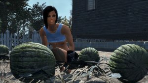 Арбузы.. Fallout-4 (Сборка 12)
