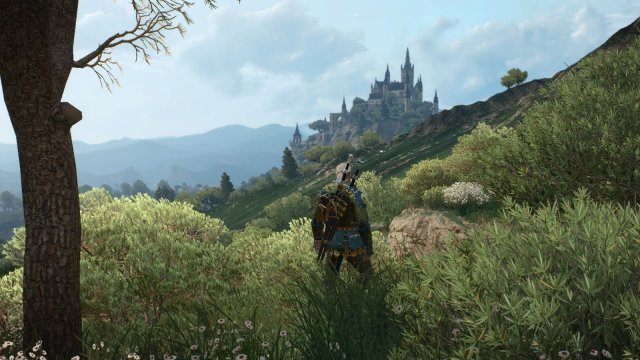 The Witcher 3 Screenshot 2025.06.03 - 22.13.01.63.jpg