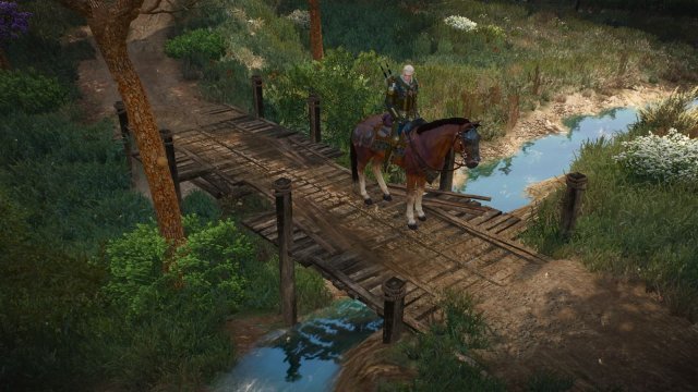 The Witcher 3 Screenshot 2025.11.11 - 22.03.51.97.jpg