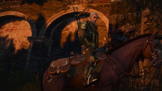 The Witcher 3 Screenshot 2025.11.11 - 21.28.33.26.jpg