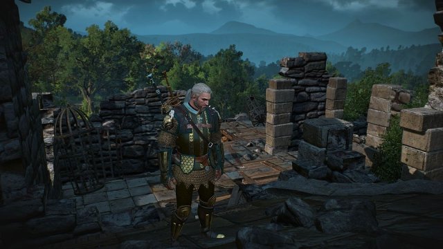 The Witcher 3 Screenshot 2025.05.26 - 21.26.08.28.jpg